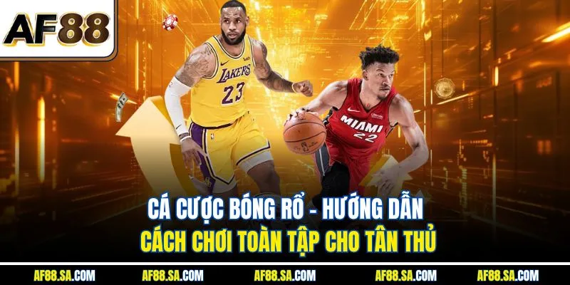 Cá Cược Bóng Rổ - Hướng Dẫn Cách Chơi Toàn Tập Cho Tân Thủ