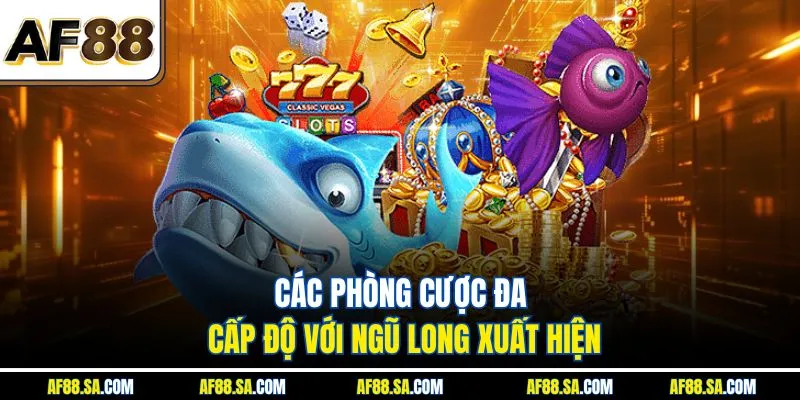 Các phòng cược đa cấp độ với Ngũ Long xuất hiện