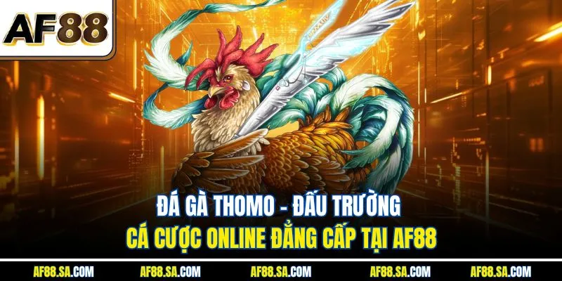Đá Gà Thomo – Đấu Trường Cá Cược Online Đẳng Cấp Tại AF88